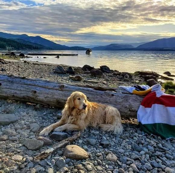 Meet your Posher, Amber - Picture 1 of 1